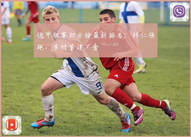 德甲联赛积分榜最新排名：拜仁领跑，多特紧追不舍