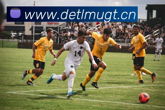 星空入口网页版官方版APP 高清赛事图